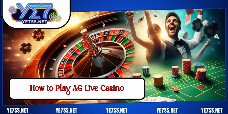 How to Play AG Live Casino