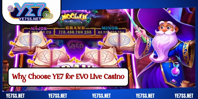 Why Choose YE7 for EVO Live Casino
