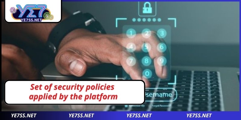 Set of security policies applied by the platform