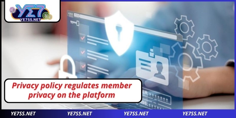 Privacy policy regulates member privacy on the platform