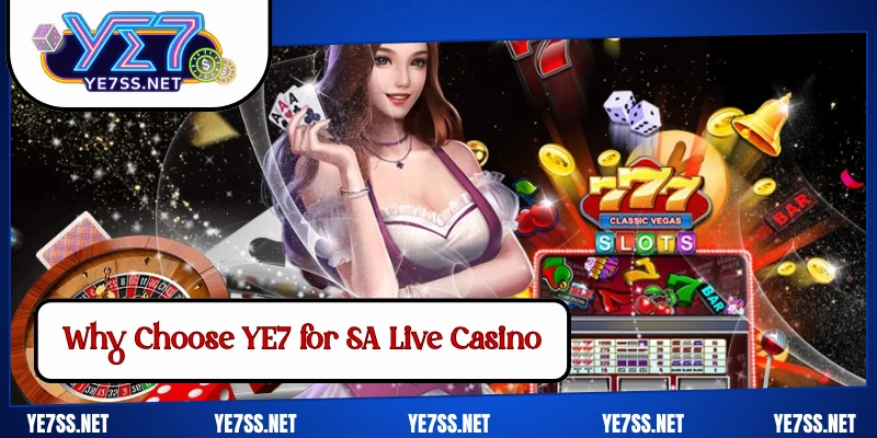Why Choose YE7 for SA Live Casino