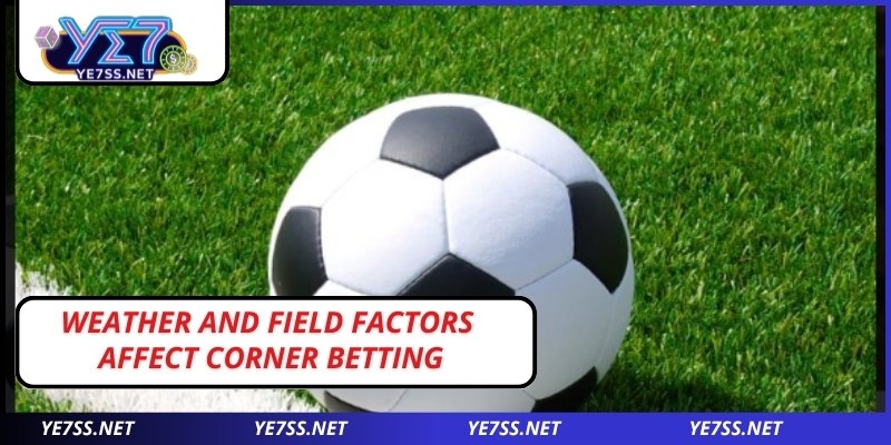 Weather and field factors affect corner betting
