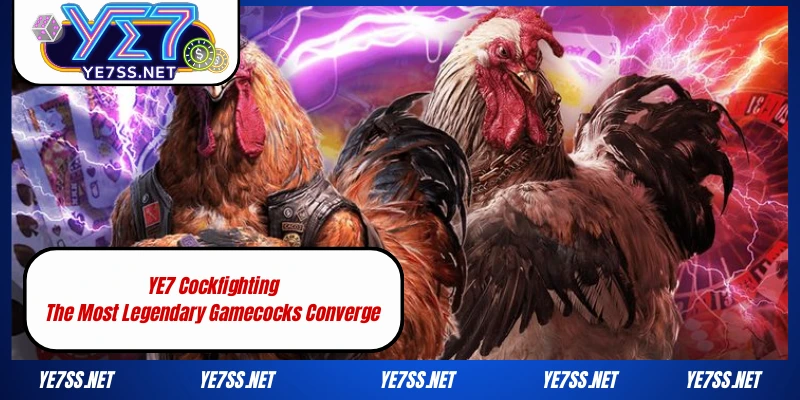 YE7 Cockfighting